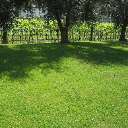 Aparthotel Casa Carla Torbole Sul Garda Esterno foto